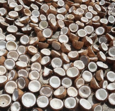 Photo by Daria Mikhailova on Unsplash