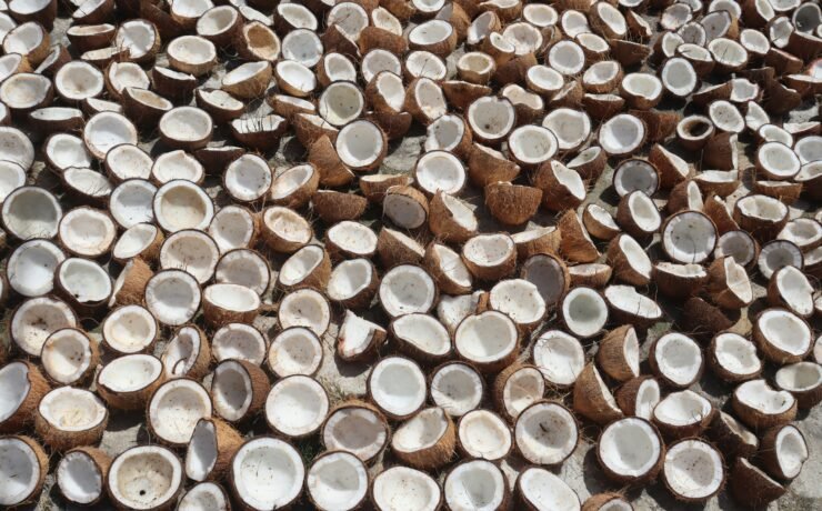 Photo by Daria Mikhailova on Unsplash