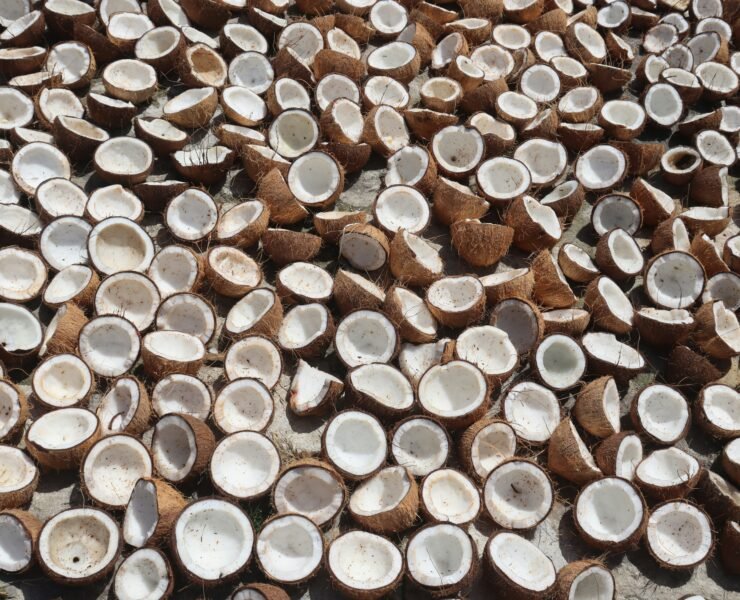 Photo by Daria Mikhailova on Unsplash