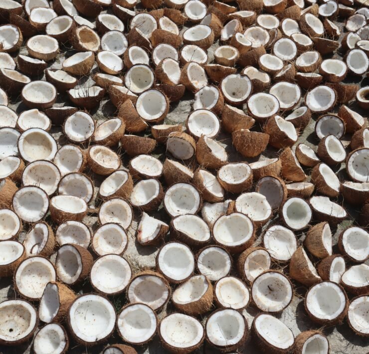 Photo by Daria Mikhailova on Unsplash